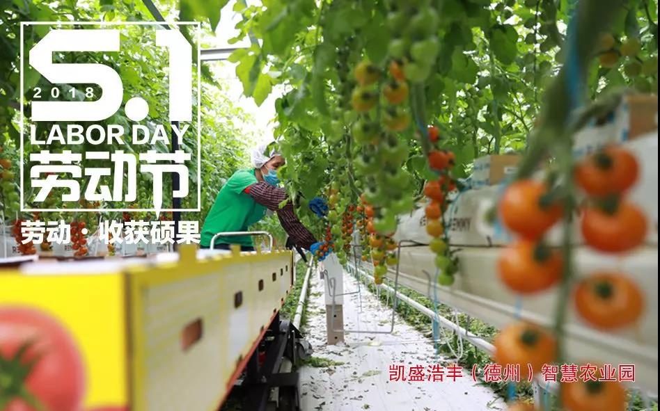 zbo智博1919com·(中国有限公司)官方网站