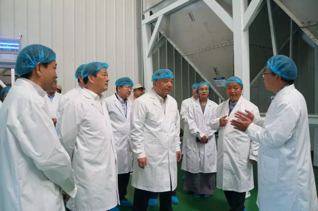 zbo智博1919com·(中国有限公司)官方网站