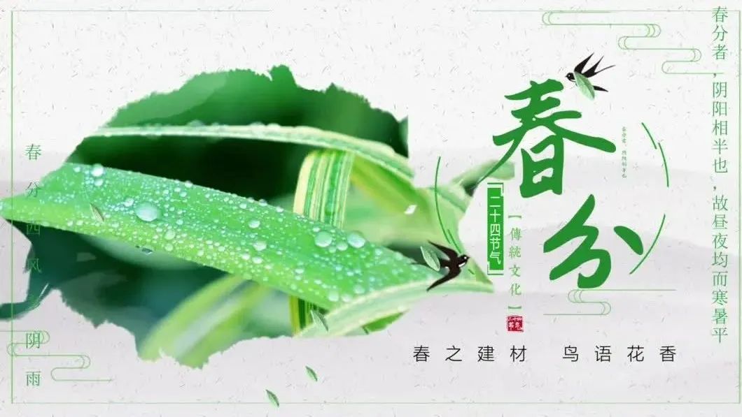 今日春分 | 春之智博1919体育，，，，，，莺啼燕语