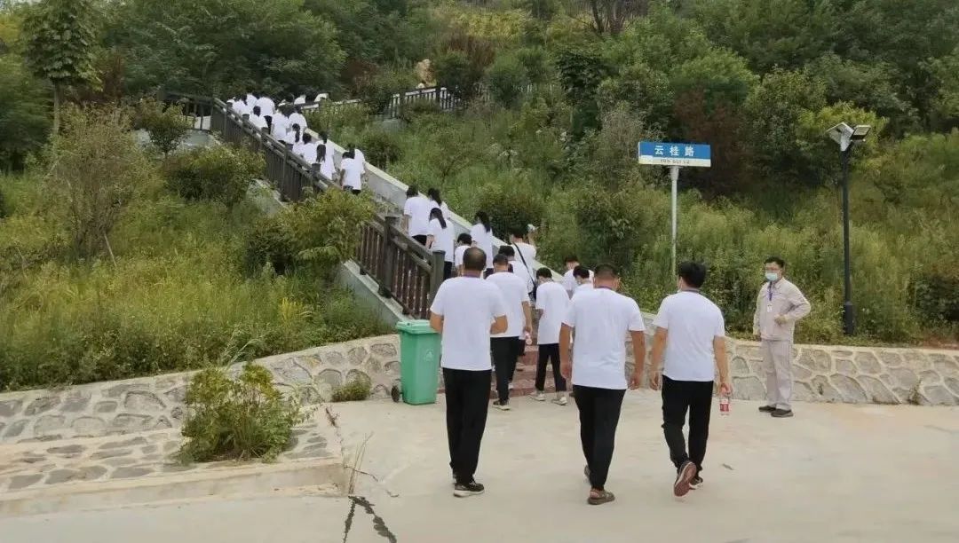 zbo智博1919com·(中国有限公司)官方网站